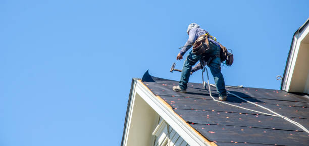 Best Roof Gutter Cleaning  in Wade Hampton, SC
